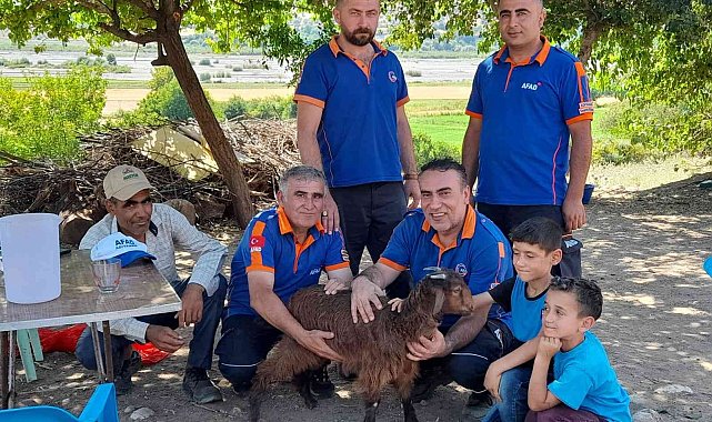 Kayalıklarda mahsur kalan keçiyi AFAD kurtardı