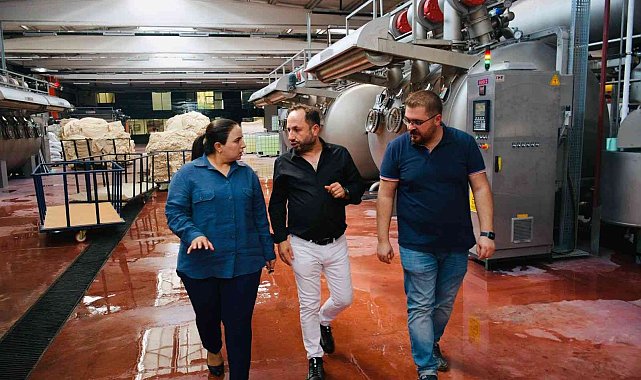 Kaymakam Demir, organize sanayide incelemelerde bulundu