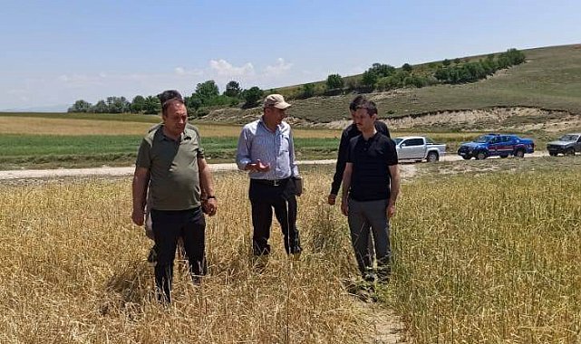 Kaymakam İrdelp, hasar tespit çalışmalarına katıldı