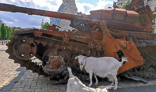 &#039;Kiev’in keçisi&#039; cephe hattına gidip tuzağı patlattı: 40 Rus askeri yaralandı!