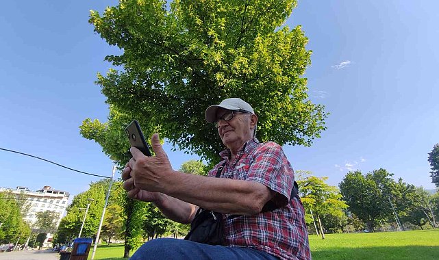 Kilosu yüzlerce lira...Her cadde ve parkta var, kimse toplamıyor