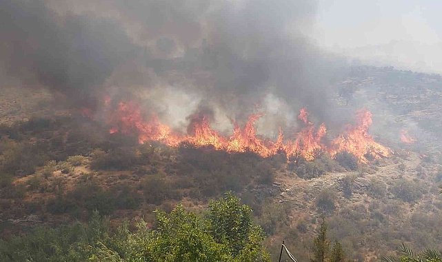 KKTC&#039;deki orman yangınıyla mücadele devam ediyor