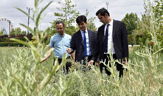 KOP desteklerine yerinde inceleme