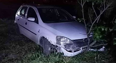 Köpeğe çarpan otomobil bir evin bahçesine savruldu: 1 yaralı