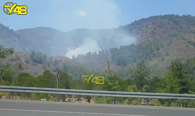 Köyceğiz&#039;de Soğutma Çalışmaları Başladı