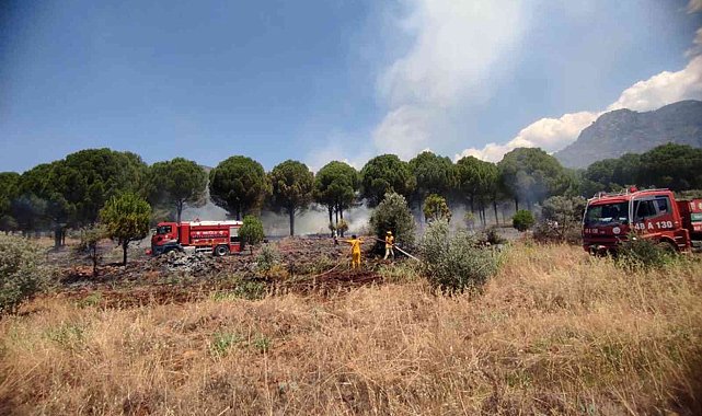 Köyceğiz&#039;de orman yangını kısa sürede söndürüldü