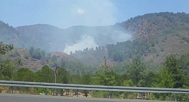 Köyceğiz'de orman yangını