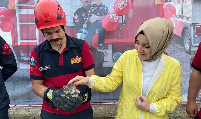 Küçük kediyi kurtarmak için büyük seferberlik