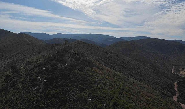 Küle dönen ormanlar yeşerdi