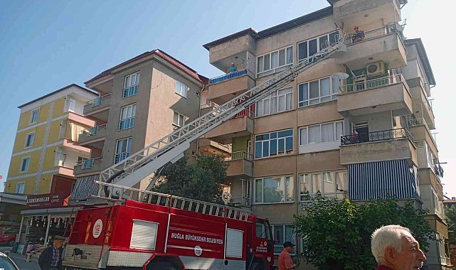 Kullanılmayan dairede mahsur kalan kediyi itfaiye kurtardı