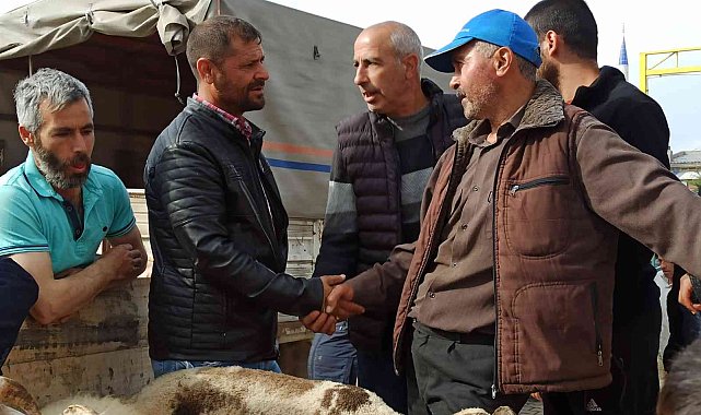 Kurban Bayramı'nın yaklaşması ile küçükbaş hayvan pazarında hareketlilik başladı