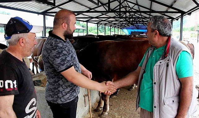 Kurbanlıklarda bu yıl pazarlıklar kızışacak