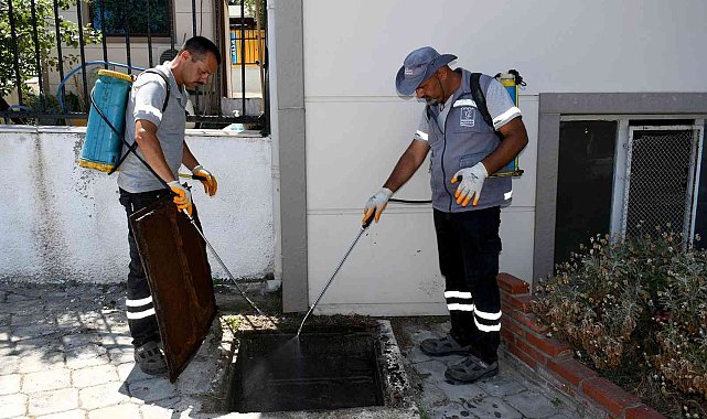 Kuşadası'nda haşere ve kara sineğe karşı etkin mücadele