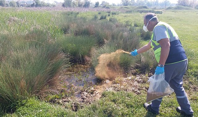 Kütahya'da biyolojik ilaçlama çalışması
