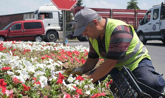 Kütahya'da refüjlere çiçek