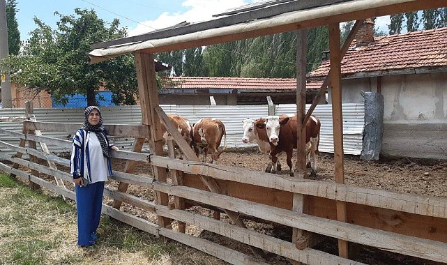 Kütahya&#039;da Uzman Eller projesinde ilk hak ediş Domaniç&#039;te gerçekleşti