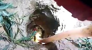 Kuyuya düşen civciv için seferber oldular