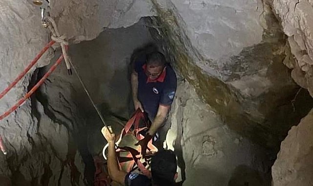 Kuyuya düşen ineği itfaiye kurtardı