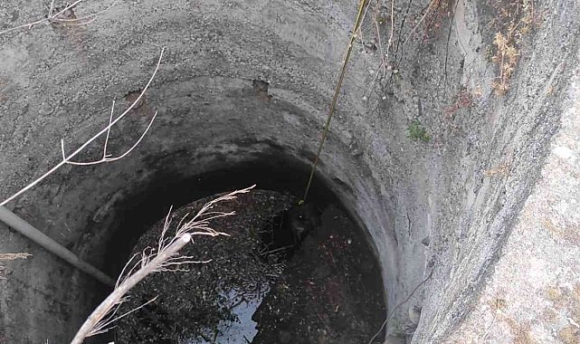 Kuyuya düşen köpek kurtarıldı