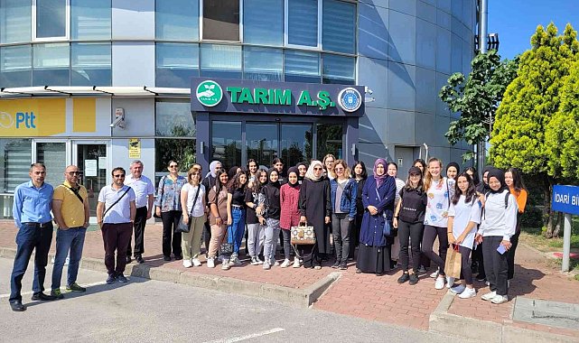 Liselilere sebze halinde eğitim