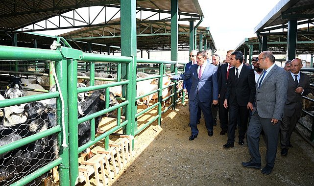 Malatya Hayvan Pazarı yenileniyor