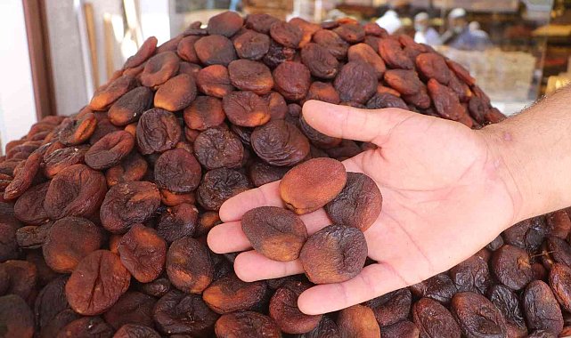 Malatya'da kuru kayısıda tahmini rekolte 75 bin 776 ton