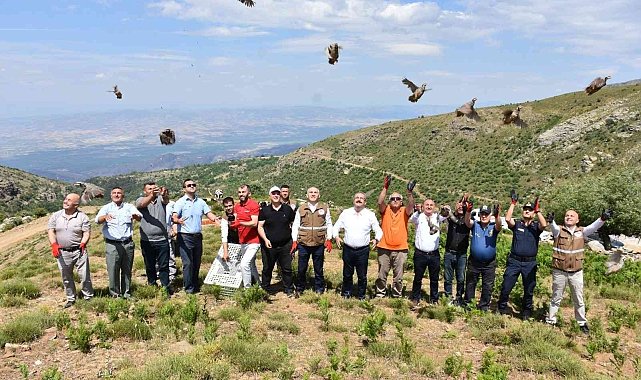 Manisa'da 250 kınalı keklik doğaya salındı
