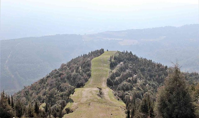 Manisa'da ormanlık alanlara girişler yasaklandı