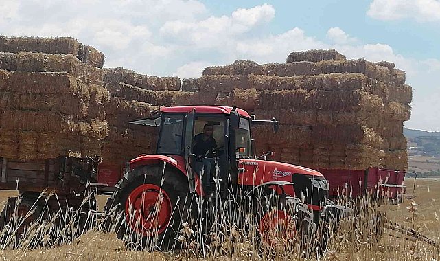 Manyas&#039;ta saman balyaları depolara konuyor