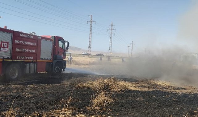 Mardin'de buğday ekili arazide yangın, 55 dönüm kül oldu