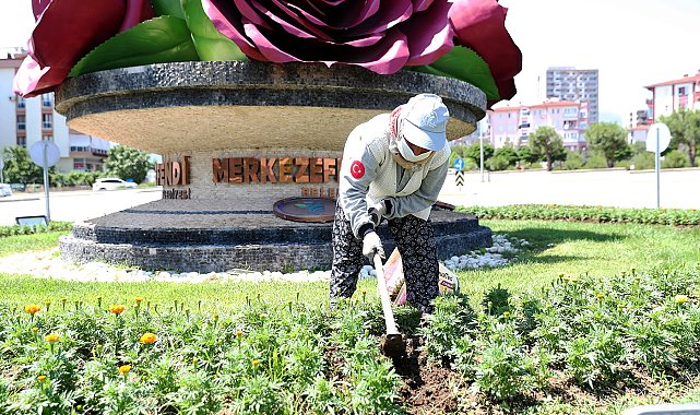 Merkezefendi renkleniyor