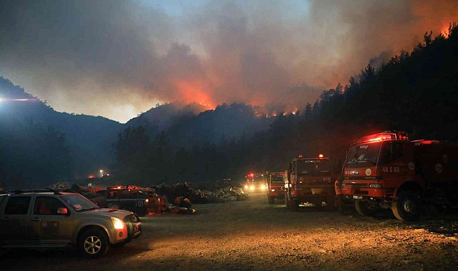 Muğla Büyükşehir: &quot;4 bin 208 hektar alan zarar gördü&quot;