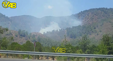 Muğla'da Yangın Kabusu Geri Mi Dönüyor
