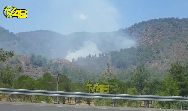 Muğla&#039;da Yangın Kabusu Geri Mi Dönüyor