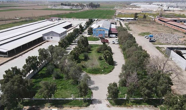 Nazilli'de kurban kesim fiyatları açıklandı