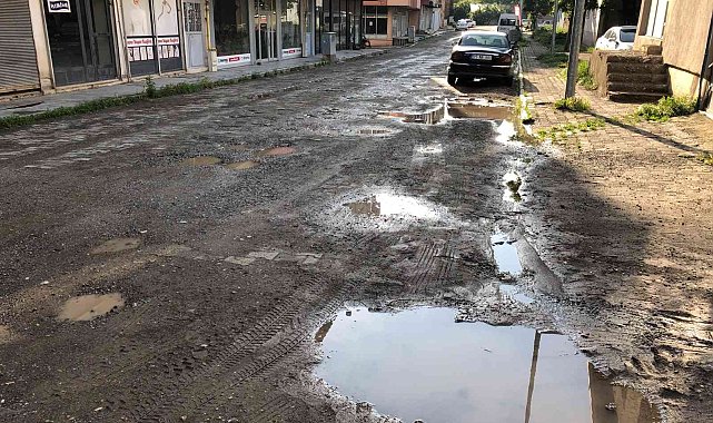 Oltuluların yol tepkisi