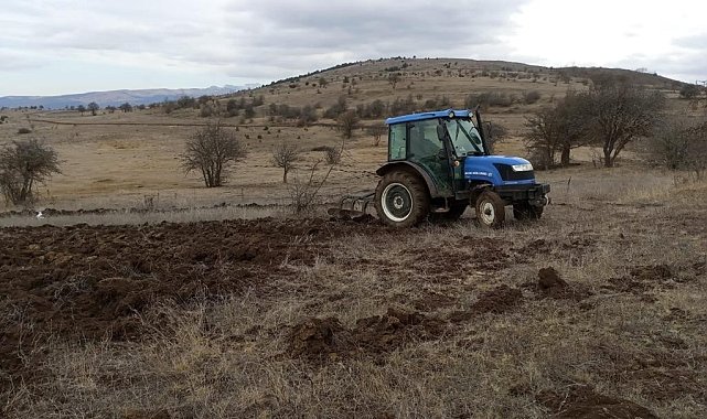 Ordu'da 18 bin dönüm arazi tarıma kazandırıldı
