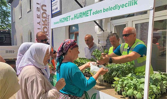 Ordu&#039;da 200 bin fide toprakla buluşturuldu