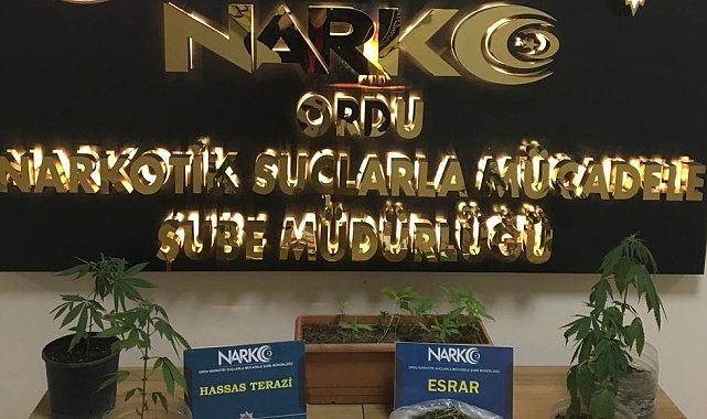 Ordu&#039;da 3 torbacı tutuklandı