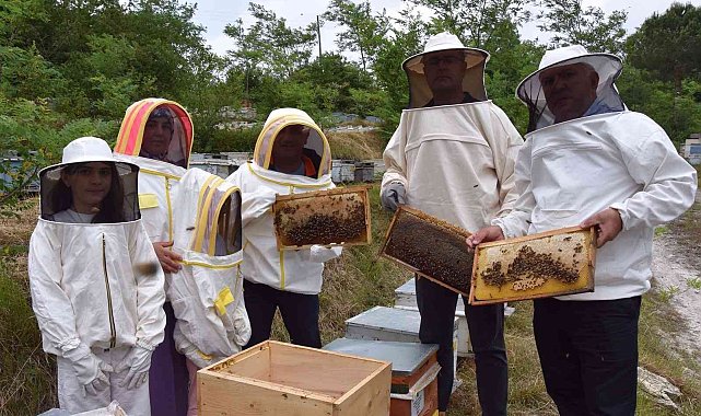 Ordu&#039;da arıcılara polen toplama tuzağı desteği