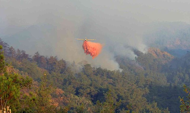 Orman yangınları yerli ve milli köpükle sönüyor