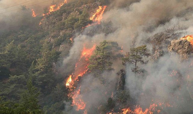 Orman yangınlarına karşı mücadele seferberliği