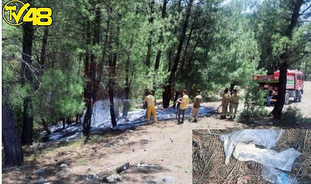 Ormanı Yakarken Yakalandı !