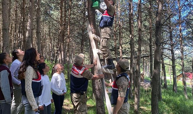 Ormanlara kuş yuvası asıldı
