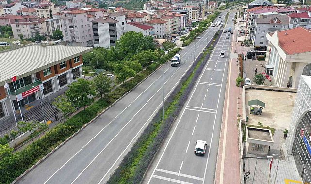 Orta refüjler lavanta çiçekleriyle süslendi