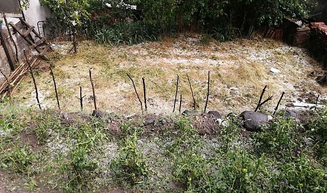 Osmancık'ta etkili olan dolu yağışı tarım arazilerine zarar verdi
