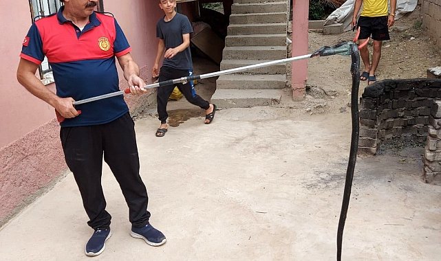Osmaniye'de eve giren yılanı itfaiye yakaladı