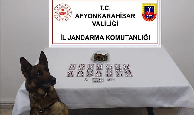 Otobüsle kente uyuşturucu getiren şahıs tutuklandı