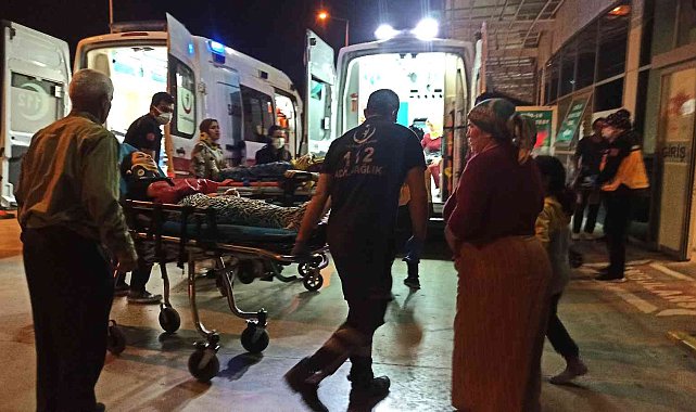 Otomobil köpeğe çarptı: 5 yaralı