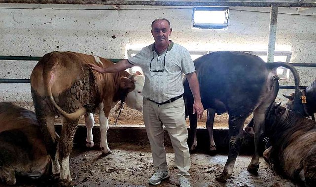 Özel yemlerle besliyor, 1 yıl önceden sıraya girenler var